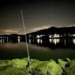 >釣りが趣味です。